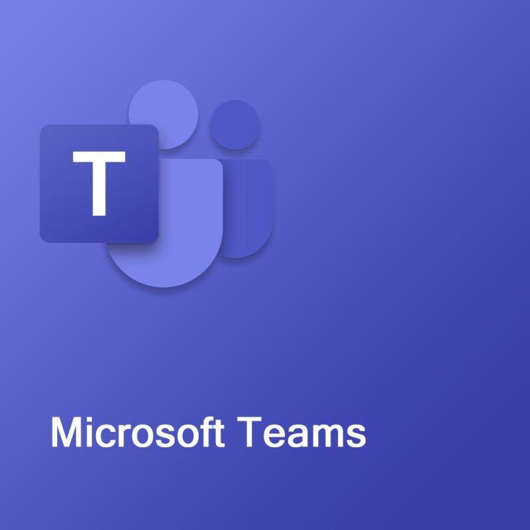 Teams User