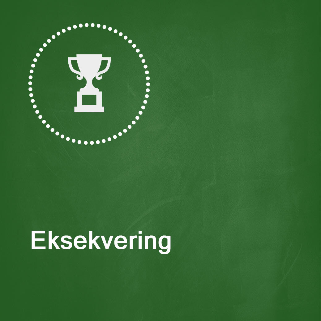 leder-eksekvering