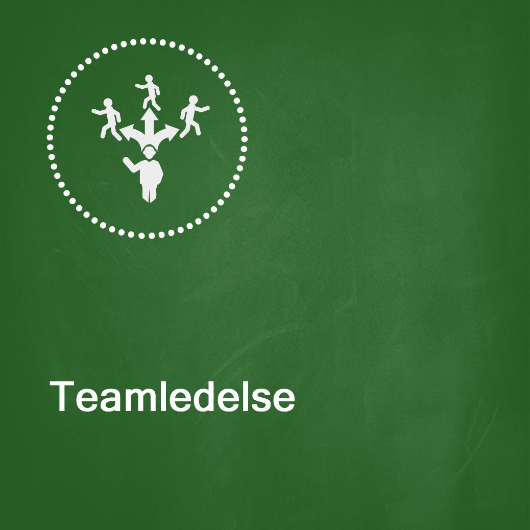 leder-teamledelse